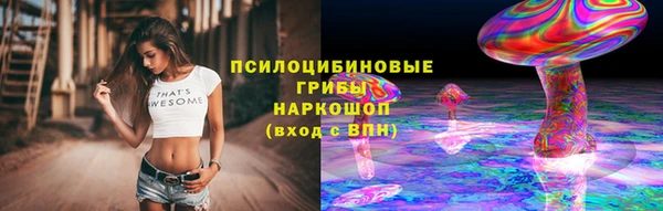 меф Богородицк