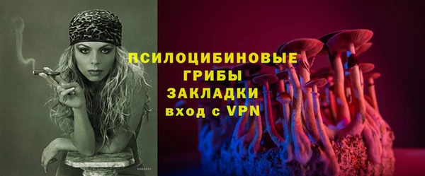 меф Богородицк