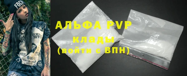 спайс Богданович