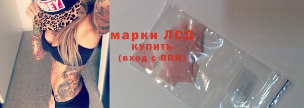 спайс Богданович