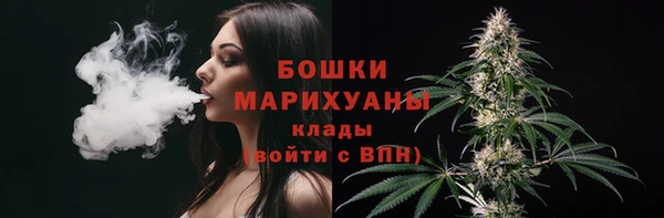 спайс Богданович