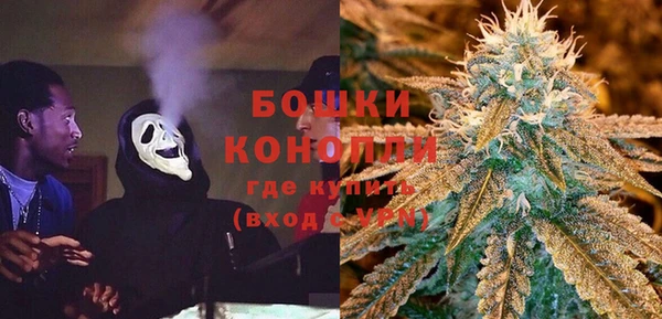 спайс Богданович