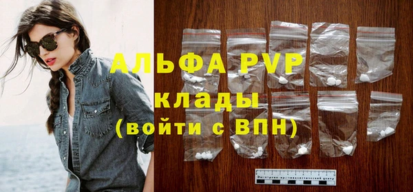 спайс Богданович