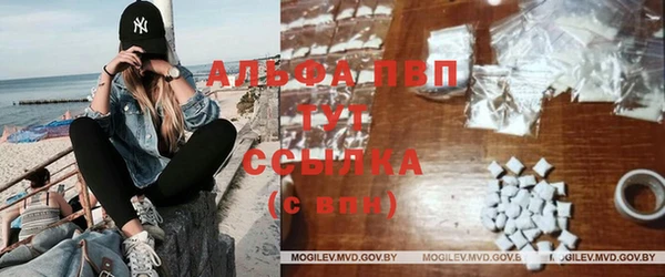 хмурый Белокуриха