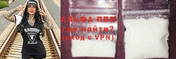 спайс Богданович