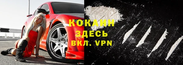 спайс Богданович